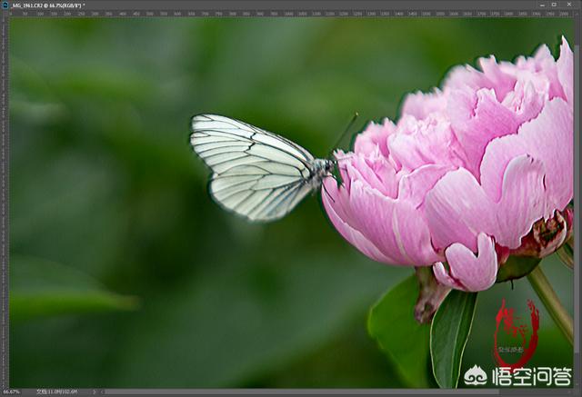 如何用photoshop將不清晰的照片變得清晰？
