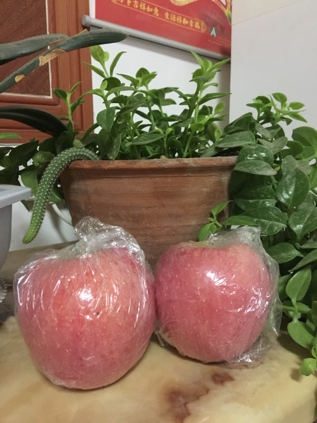 解說紙袋和膜袋蘋果