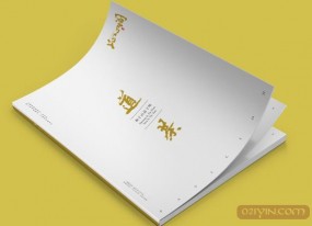 公司畫(huà)冊設計需要注意些什么？