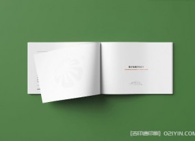 上海企業(yè)畫(huà)冊印刷對于畫(huà)冊尺寸有何要求？