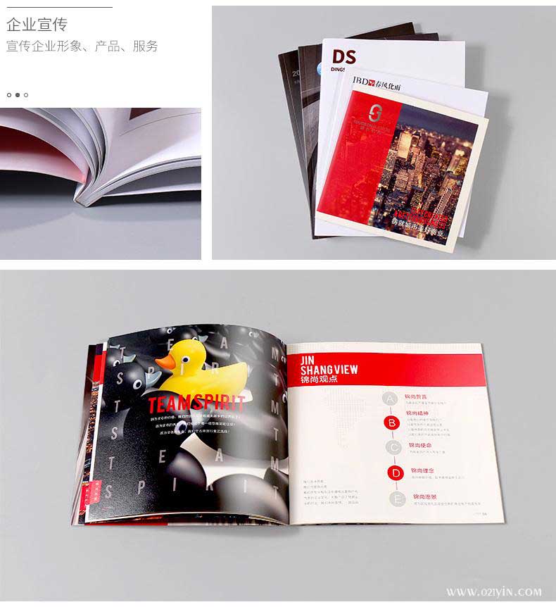 企業(yè)畫冊  第2張