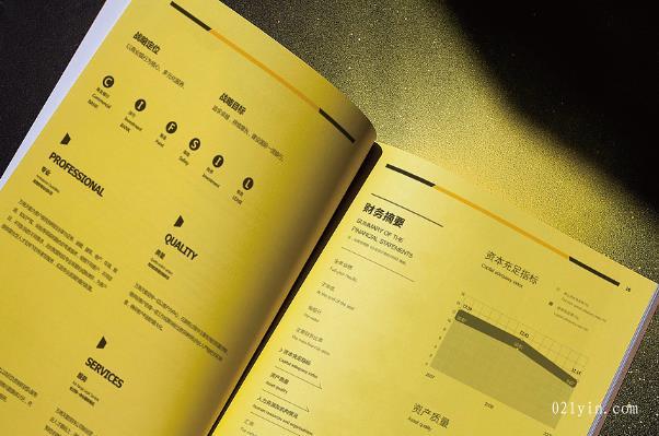 上海印刷公司從哪些角度做好公司畫(huà)冊設計欣賞