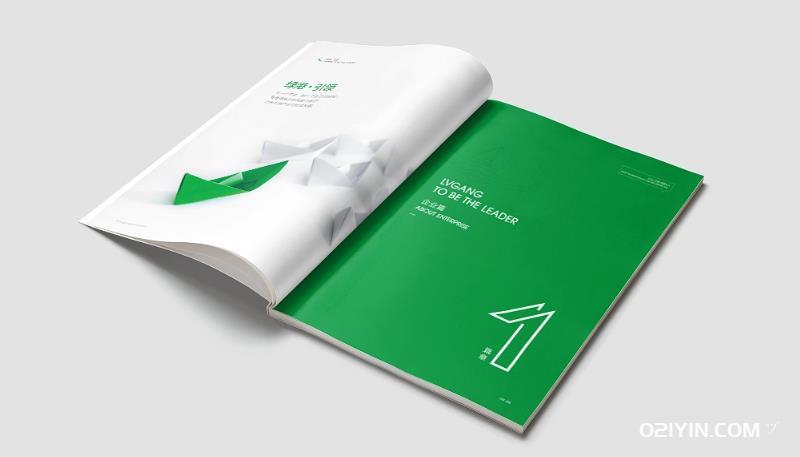 上海教育培訓畫(huà)冊印刷：知識傳遞，未來(lái)啟航  第1張