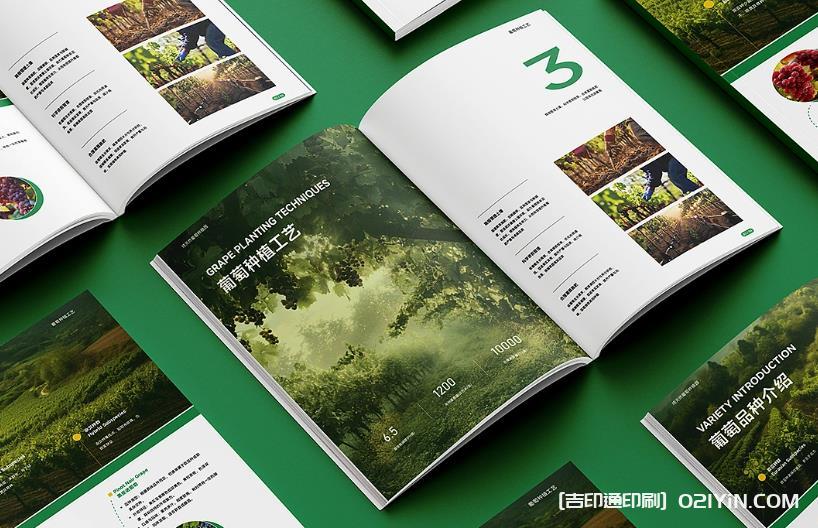 上海產品畫冊印刷避坑指南：文件規(guī)范、工期把控與質量驗收要點  第1張