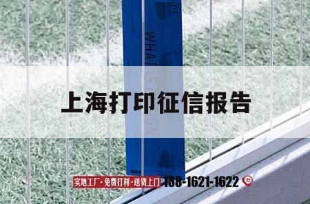 上海打印征信報告｜上海在哪打印征信報告  第1張
